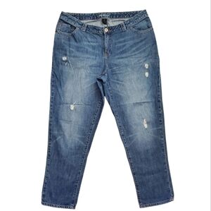 Lane Bryant Classic Blue Denim Jeans